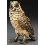 AUSTRIAN COLD PAINTED BRONZE OF AN OWL