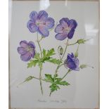 Alistair Gordon 'Pansies' Watercolour and another,