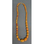 A Graduated Amber Bead Necklace, 15 gms.