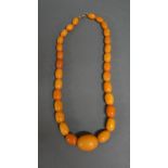 A Graduated Amber Bead Necklace, 26.2 gms.