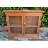 A 19th Century Pine Two Door Cupboard,