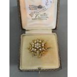 A 15ct. Gold Pearl Set Brooch in the for