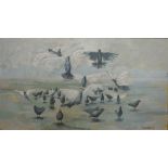 Karolina Larusdottir, 1944 onwards, Iceland STUDY OF BIRDS TAKING FLIGHT Oil on board,