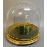 A 19th Century Circular Glass Dome upon Giltwood Stand with low feet,