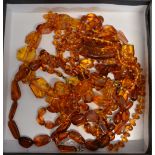 A Collection of Amber Bead Necklaces