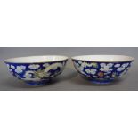 A Pair of Chinese Porcelain Bowls, each decorated with serpents amongst foliage upon a blue ground,