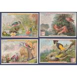 Liebig The World of Birds 1900 set 6 S0651 vg-beautiful bird set