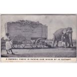 Advertising-A marshall Engine in packing case hauled by a elephant scarce.