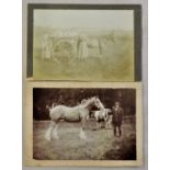 Photographs-2 x early 1900-photo's(1) with a group of lady by a horse and cart(2)show Horses with