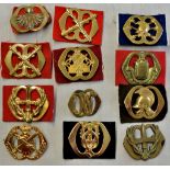 Dutch cap badge collection including: The Regiment Stoottroepen Prins Bernhard Beret (Brass) With
