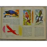 Cig + Trade Cards -Brooke Bond 1957, Birds Portraits set, 50/50, Scarce set.