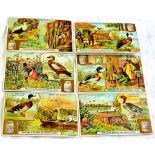 Liebig 1905 Ducks set 6 s 0803