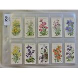 Wills Alpine Flowers 1913 set 50/50, NG/EX