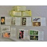 Players - Grandee Set (10), all EX Disappearing Rain Forest; British Mammais, British Wayside