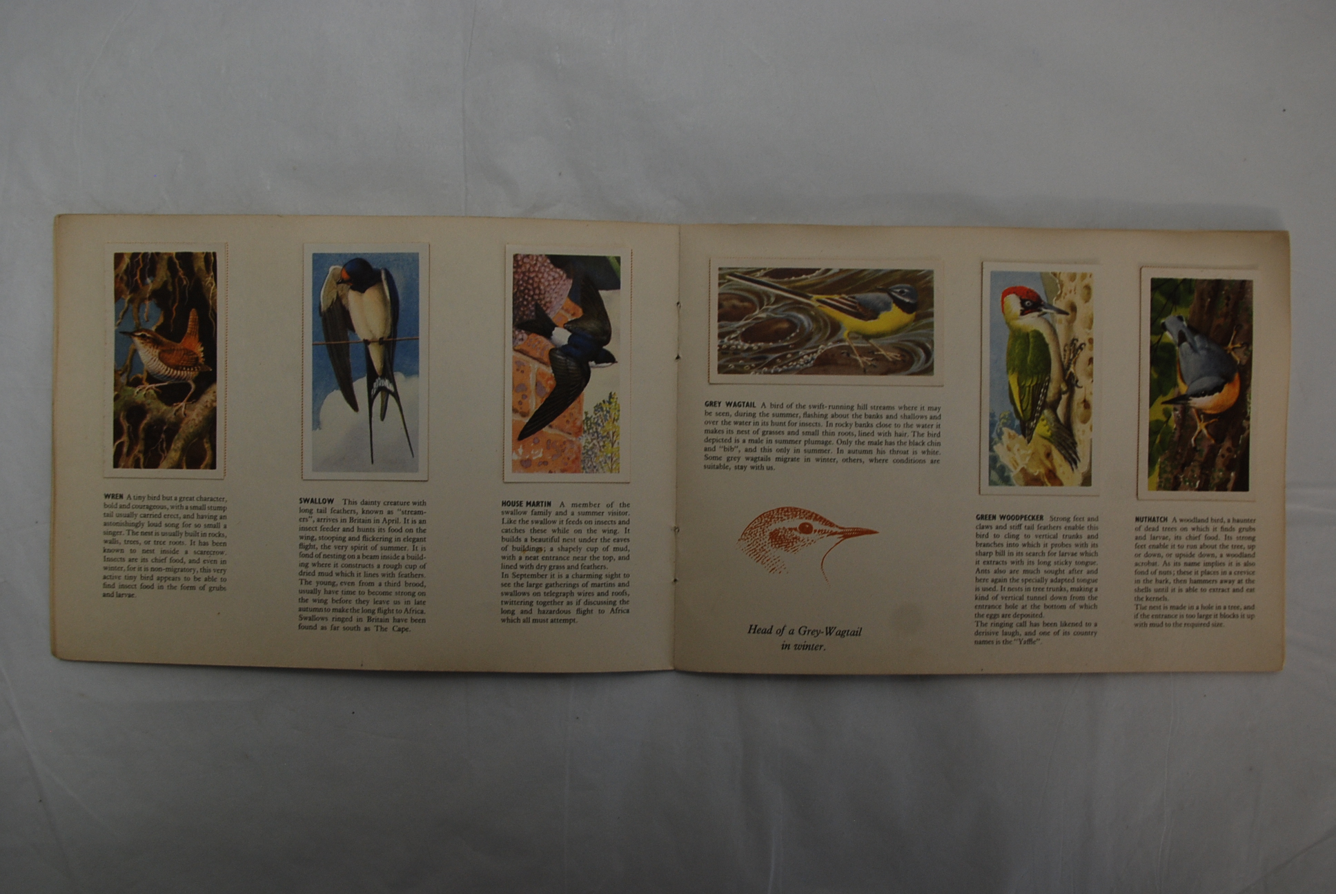 Brooke bond - 1957 Bird Portraits set, 50/50 by C.F. Tunnicliffe R.A. In an album with dotted border - Image 2 of 2