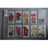 Wills Roses - 2nd Series, 1914 Set 49/50 mostly, EX, No. 89 missing. Cat £75