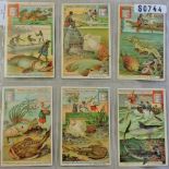 Liebig 1903 Sea Fish set 6 Sanguinetti 744 - original cards - vg+