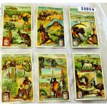 Liebig 1910 In Australia set 6 Sanguinetti 984