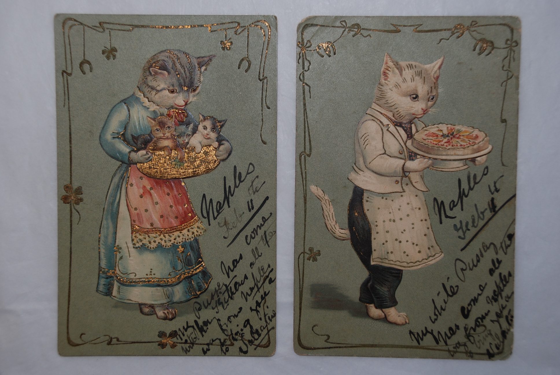 Cats 1904 used pair of embossed and gilt postcards, used Naples, lovely cards, one with top corner