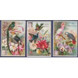 Liebig Exotic Birds 1897 set 6 S0540 vg-beautiful set.