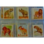 Godfrey Phillips Ltd-Animal studies 1936 set 30/30 ex.