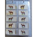 Album-Cigarette Cards-Horse racing-horses all types