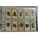 Album-Cigarette cards-all foreign Animals