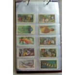 Album-Cigarette Cards-Sea Life of the World