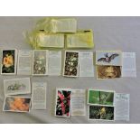 Players - Grandee Set (10), all EX Disappearing Rain Forest; British Mammals, British Wayside