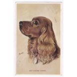 Dogs - Red Cocker Spaniel by Mac. - 1935 Used. Nice condition.