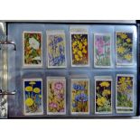 Album-Cigarette cards - all type of flowers and shrubs
