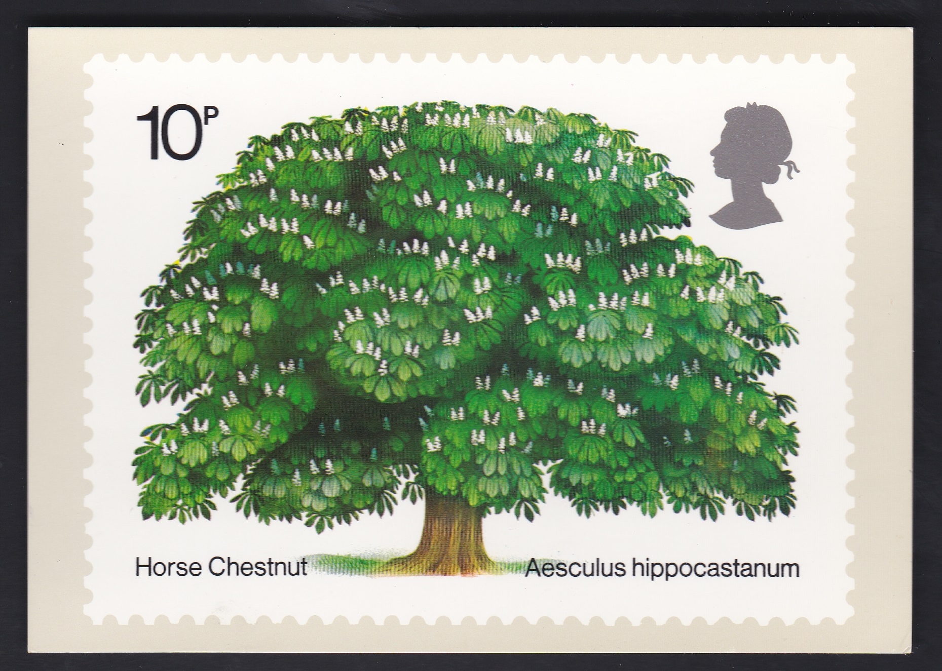 Great Britain 1973 British Trees - The Oak, PHQ Card, mint Cat £150