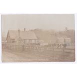 Norfolk Ingoldsthorpe Village Hall RP, used 1914, Cattle nearby