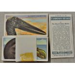 Players 'Curious Beaks' 1929 set, 50/50, EX