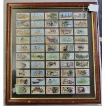 Framed -John Players Framed Cards-Cycling 1939, set 50/50 in very good condition