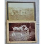 Photographs - 2 x early 1900 -photo's (1) with a group of lady by a horse and cart (2)show Horses