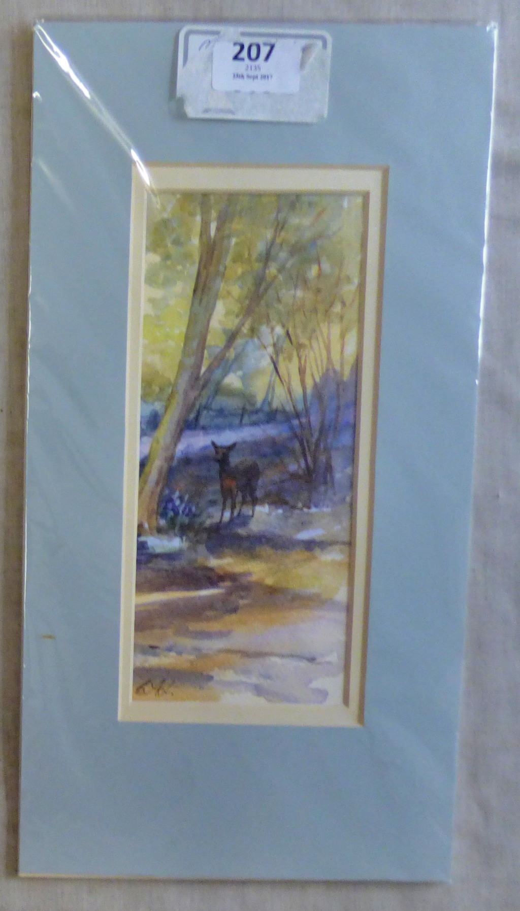 Water Colour 'Morning Shadow' Mounted, signed,Cal.