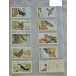 Gallaher's British Birds 1937 Set, 48/48, EX