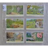 Liebig Cards(6)-Insect Nests-1961-S1732