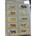 Players British Livestock 1915 Set 25/25, VG+/ Mostly EX