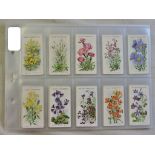 Wills Alpine Flowers 1913 set 50/50, NG/EX