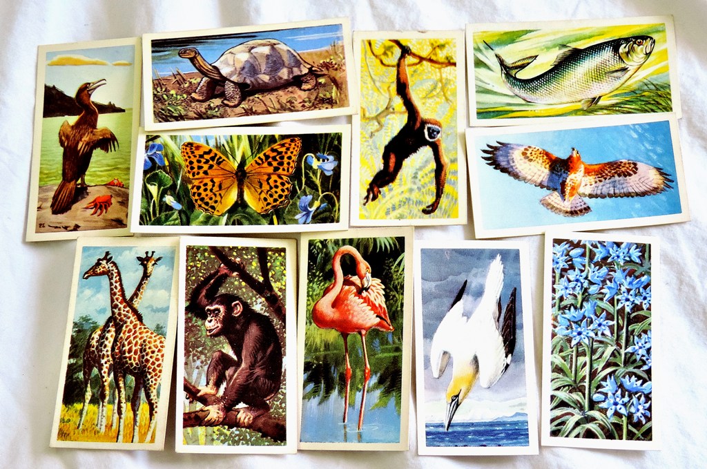 Brooke Bond 1954-63 8 sets in modern album includes Fresh Water Fish & Bird Portraits with address