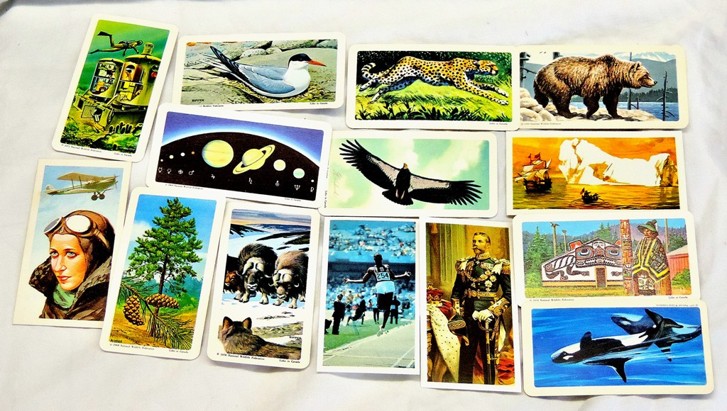 Brooke Bond 12 mixed sets in modern album includes Canada Issues & 1960 Animals of North American