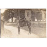 Berkshire Yeomanry WWI- Fine RP Postcard, close up of trooper Wigmore,(2827), 3/1st Berks Yeomanry C