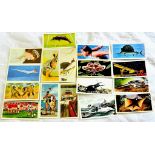 Brooke Bond 1974-86 11 sets in modern album Cat £90