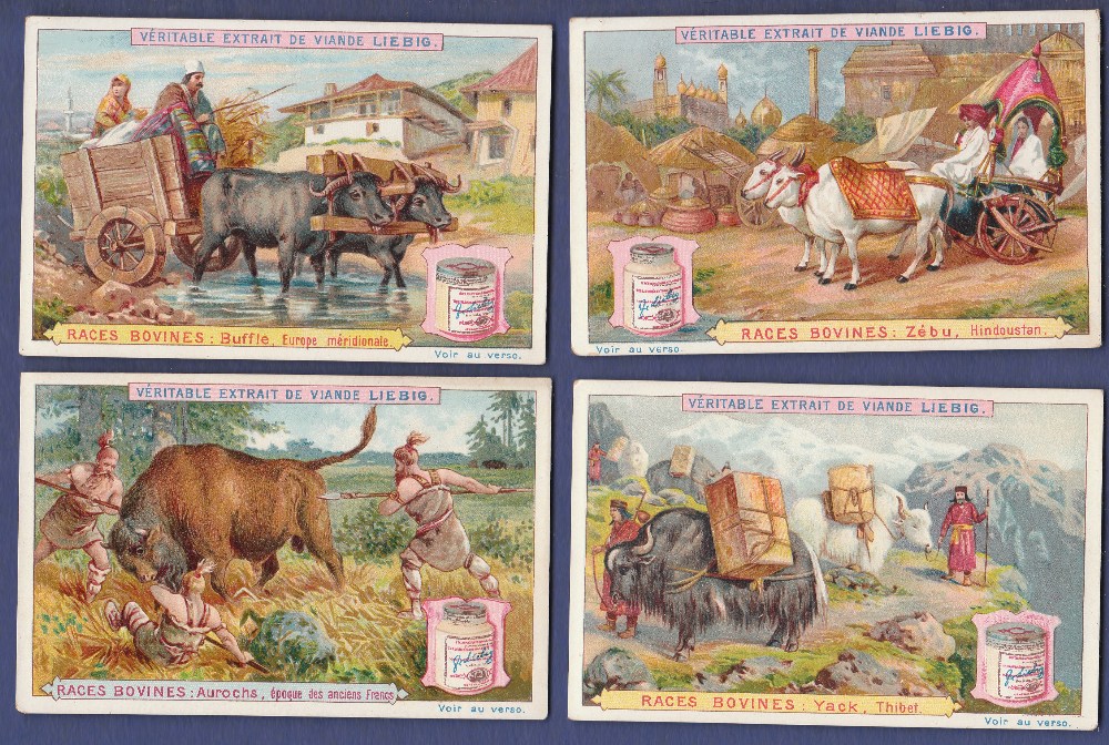 Liebig Types of Bull 1897 set 6 S0503 vg