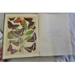 Kirby,WF, 1903-The Butterflies and moths of Europe,Well read, cover worn, some pages disjointed,