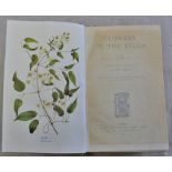 Johns, Re C.A.-Flowers of the field 1907 with (92) coloured plates by E.N.Gwatkin, very good,