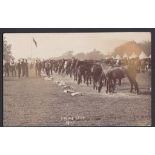 Cavalry Regiment Pre-WWI Postcard RP, Soldiers training their horses at Stowe Camp 1905