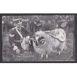 Regimental Mascots and Pets 6th Bn, Nott's and Derbyshire Regiment Duke II, Regimental Ram was